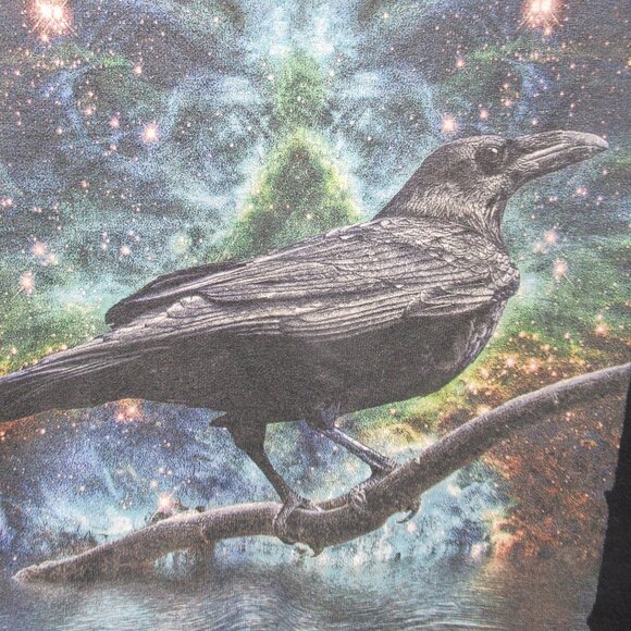 Ladies Raven on Branch Pull-Over Hoodie Sz. XL - Picture 5 of 6